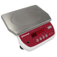 Roestvrij Stalen Elektronische Weegschaal, 6kg X 1g