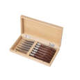 Sola Steakmessen Set | 6 stuks in doos | 227mm | 84g | 18/10 RVS | Zilver/Hout