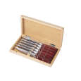 Sola Steakmessen Set | 6 stuks in doos | 241mm | 121g | 18/10 RVS | Zilver/Hout
